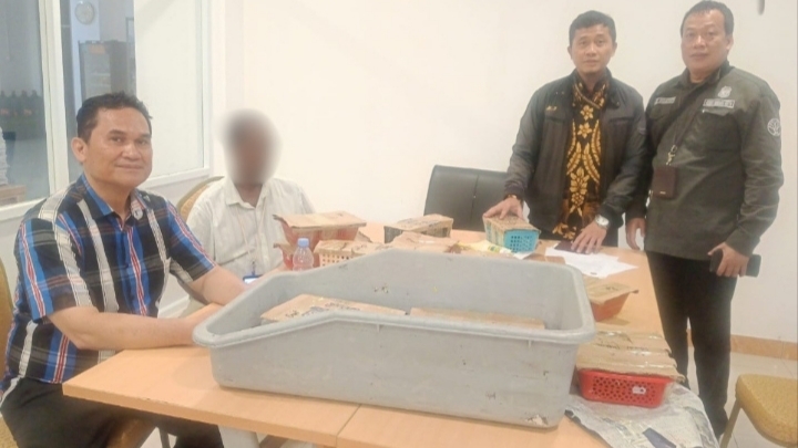 WNA Sri Lanka Bawa 101 Burung dalam Koper, Digagalkan di Bandara Soekarno-Hatta